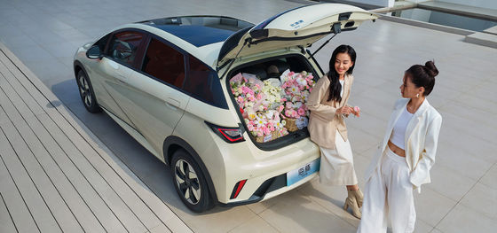 1.5L Κυβισμός BYD Seal06 DM-i 120KM Leading Edition